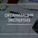 Организация строительно-технической экспертизы